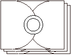 Fiore 샘플